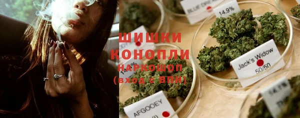 PSILOCYBIN Богородицк